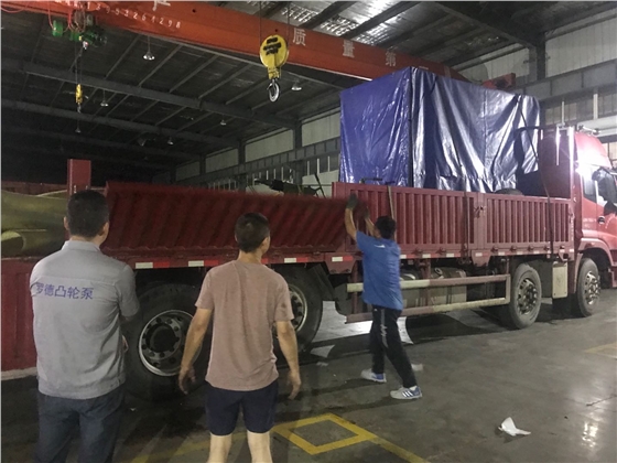 大流量轉子泵移動(dòng)泵車(chē)