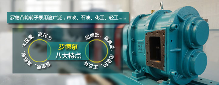 羅德品牌凸輪轉子泵特點(diǎn)1