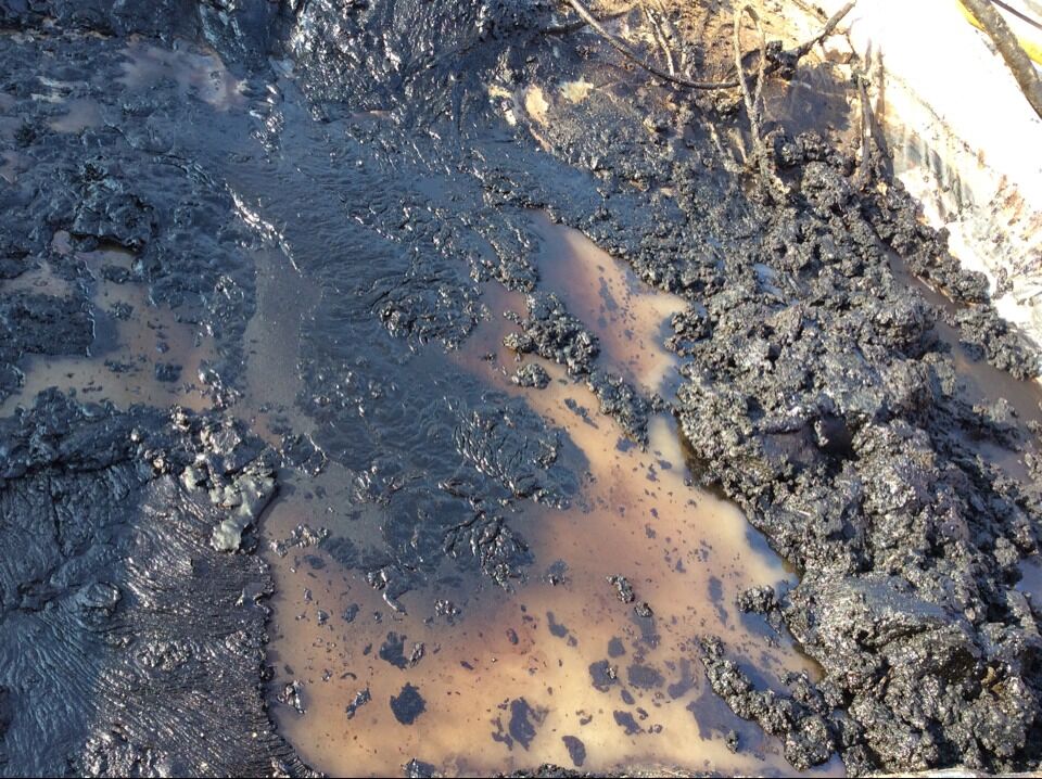 凸輪轉轉子泵耐磨損耐腐蝕可以輸送含油污水等復雜成分介質(zhì)
